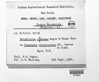 Image Associated With the Occurence